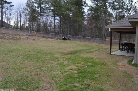 266 Reuben Dr, Alexander, AR 72002 photo 24