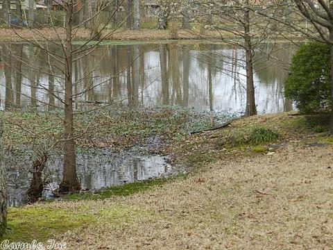 13 Foxcroft Ln, Pine Bluff, AR 71603 photo 14
