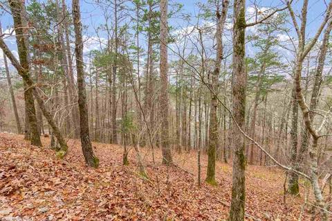 17715 Eagle Nest, Alexander, AR 72002 photo 9