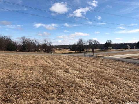 20 Waters Edge Dr, Cabot, AR 72023 photo 5