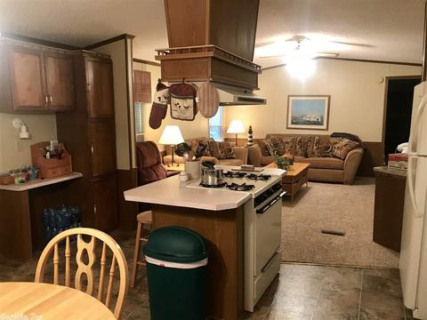 17 Loblolly Cir, Mount Ida, AR 71957 photo 6