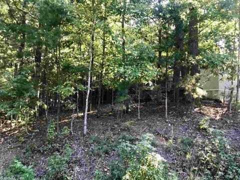 17 Loblolly Cir, Mount Ida, AR 71957 photo 18