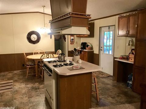 17 Loblolly Cir, Mount Ida, AR 71957 photo 5