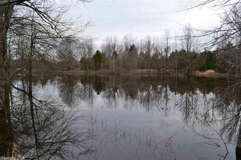 39 Lester Rd, Mount Vernon, AR 72111 photo 2