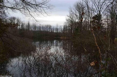 39 Lester Rd, Mount Vernon, AR 72111 photo 4