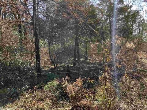 320 Castleberry Ln, Lamar, AR 72846 photo 17
