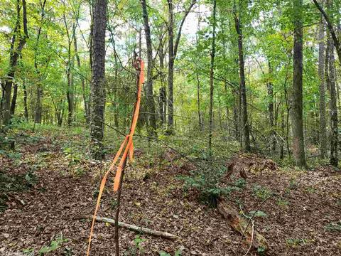 174 Polk Road 710, Mena, AR 71953 photo 11