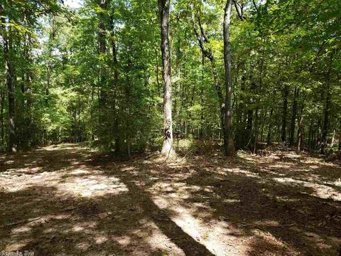 174 Polk Road 710, Mena, AR 71953 photo 9