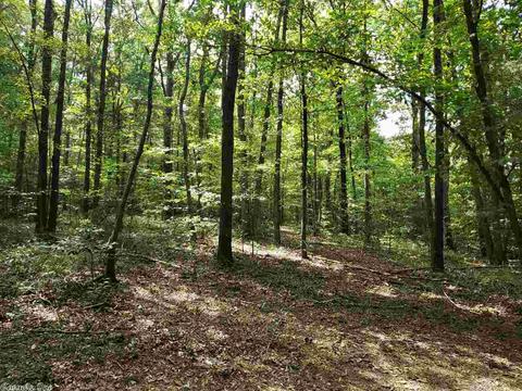174 Polk Road 710, Mena, AR 71953 photo 10
