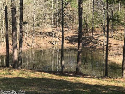 174 Polk Road 710, Mena, AR 71953 photo 8