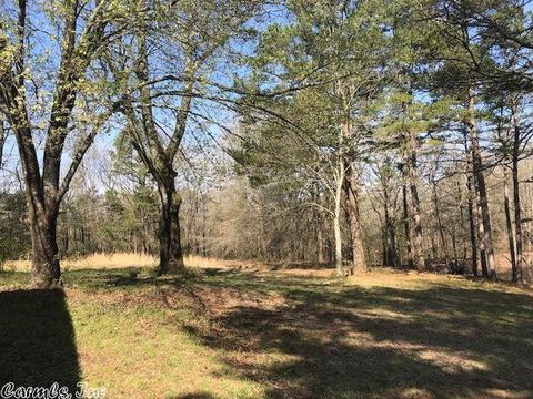 174 Polk Road 710, Mena, AR 71953 photo 19