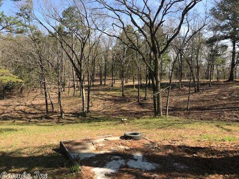 174 Polk Road 710, Mena, AR 71953 photo 17