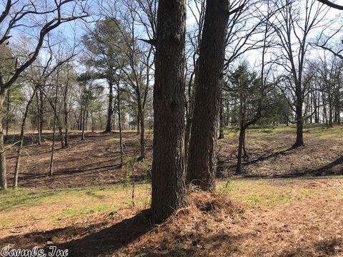 174 Polk Road 710, Mena, AR 71953 photo 16