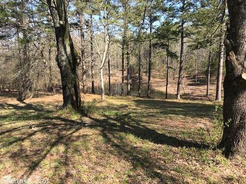 174 Polk Road 710, Mena, AR 71953 photo 13
