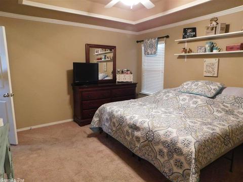 3655 Breezy, Conway, AR 72032 photo 23