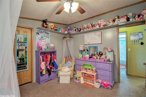 930 Porter Rd, Lonoke, AR 72086 photo 29
