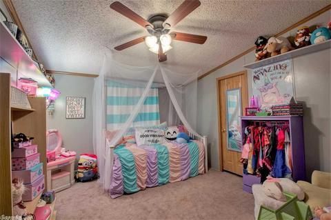 930 Porter Rd, Lonoke, AR 72086 photo 28