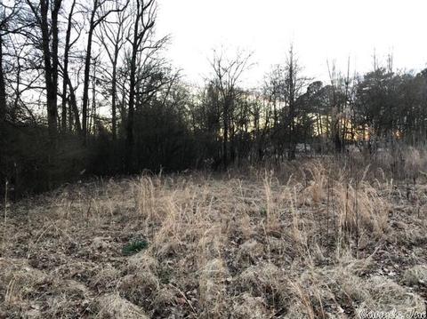 15324 Evergreen Dr, Alexander, AR 72002 photo 4