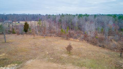 8324 Sagebrush, Bauxite, AR 72011 photo 23