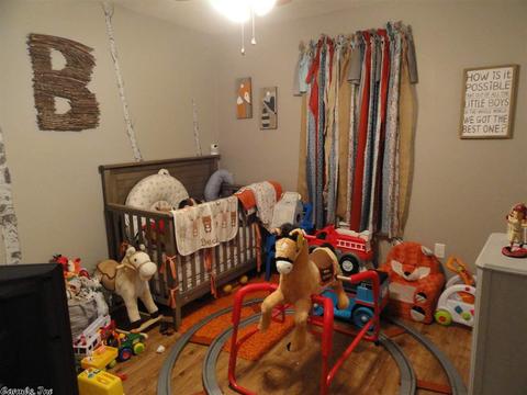 331 Old Carpenters Ln, Harrison, AR 72601 photo 27