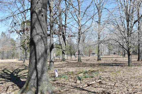 3233 Wise Rd, Alexander, AR 72002 photo 8