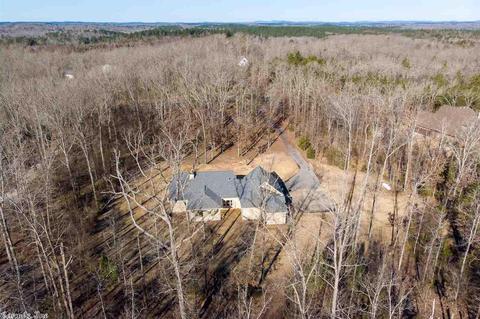 1156 Brookhaven Ct, Alexander, AR 72002 photo 3