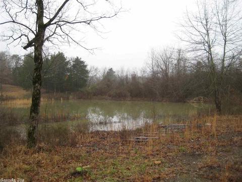 101 Apache Ln, Mena, AR 71953 photo 14