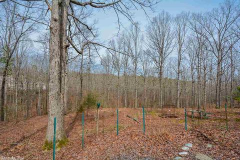 542 Diamond Hl, Alexander, AR 72002 photo 33