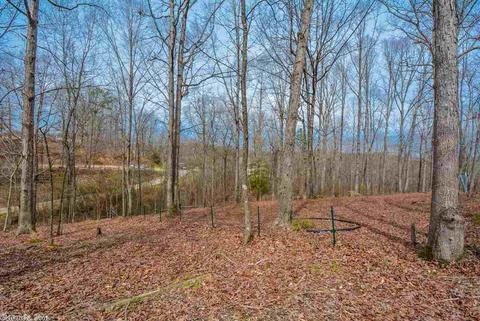 542 Diamond Hl, Alexander, AR 72002 photo 26