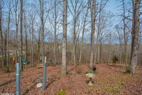 542 Diamond Hl, Alexander, AR 72002 photo 31