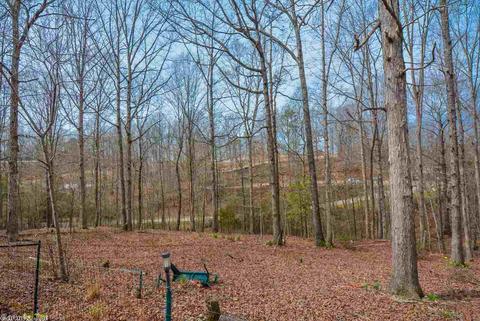 542 Diamond Hl, Alexander, AR 72002 photo 30