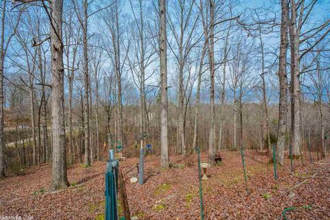 542 Diamond Hl, Alexander, AR 72002 photo 29