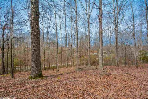 542 Diamond Hl, Alexander, AR 72002 photo 25