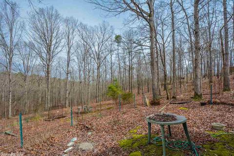 542 Diamond Hl, Alexander, AR 72002 photo 32