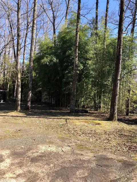 686 Vise Ln, Cabot, AR 72023 photo 23