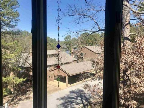 45 Peninsula Dr # D, Mount Ida, AR 71957 photo 8