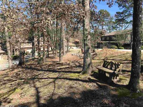 45 Peninsula Dr # D, Mount Ida, AR 71957 photo 21