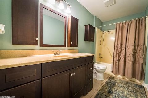 10 Turkey Ln, Conway, AR 72032 photo 30