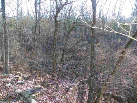 3333 Brewer Rd, Edgemont, AR 72044 photo 23