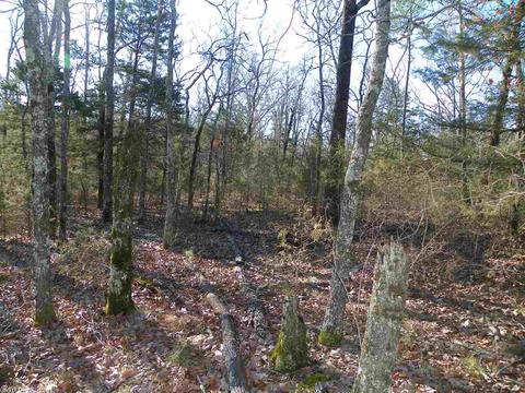3333 Brewer Rd, Edgemont, AR 72044 photo 27