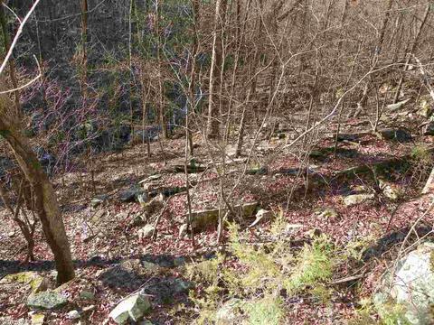 3333 Brewer Rd, Edgemont, AR 72044 photo 24