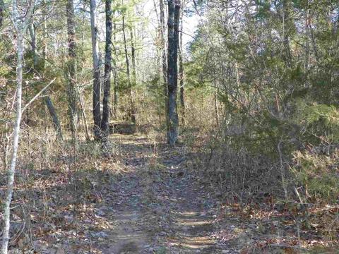 3333 Brewer Rd, Edgemont, AR 72044 photo 31