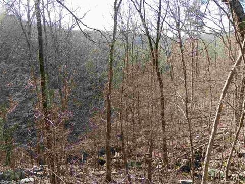 3333 Brewer Rd, Edgemont, AR 72044 photo 18