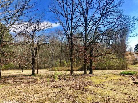 104 Trinity Rd, El Paso, AR 72045 photo 27