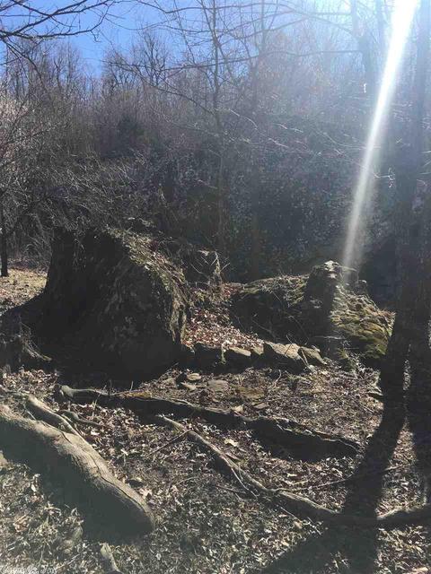 5279 Star Mountain Rd, Marshall, AR 72650 photo 13