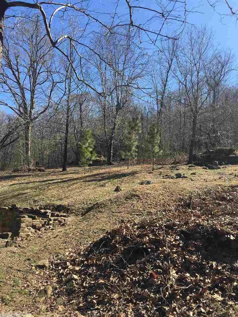5279 Star Mountain Rd, Marshall, AR 72650 photo 6