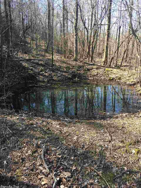 5279 Star Mountain Rd, Marshall, AR 72650 photo 5
