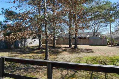 44 Daffodil, Benton, AR 72019 photo 37