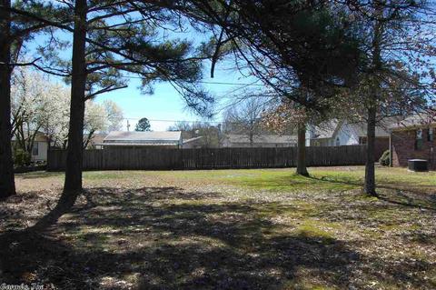 44 Daffodil, Benton, AR 72019 photo 39