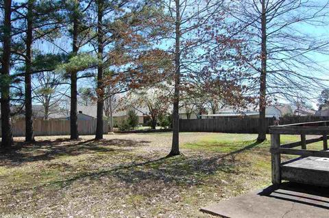44 Daffodil, Benton, AR 72019 photo 38